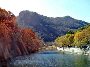 新澳门期期准精准，天涯医院